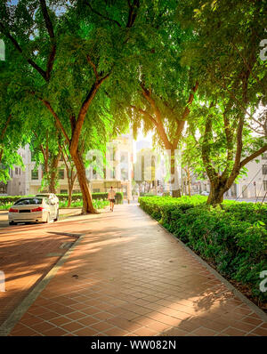Pfad im Park neben der Straße in der Stadt. Grüner Baum im Garten am Morgen. Parkplätze für Mietwagen in Singapur. Ein Mann auf dem Weg. Stockfoto