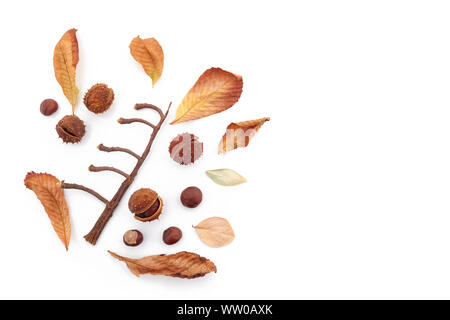 Herbst Zusammensetzung, Rahmen aus Kastanien und trockene Blätter auf weißem Hintergrund. Flach, Ansicht von oben. Stockfoto