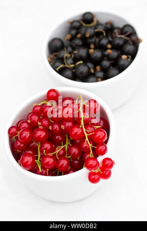 Rote Johannisbeeren und schwarze Johannisbeeren in weißen Schalen Stockfoto