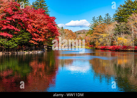 Kumobaike Teich Herbstlaub Landschaft, Cognac auf der Oberfläche im sonnigen Tag wider. Bunte Bäume mit Rot, Orange, Gelb, goldenen Farben Stockfoto