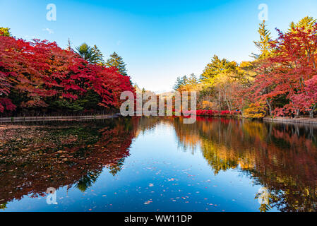 Kumobaike Teich Herbstlaub Landschaft, Cognac auf der Oberfläche im sonnigen Tag wider. Bunte Bäume mit Rot, Orange, Gelb, goldenen Farben Stockfoto