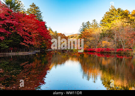 Kumobaike Teich Herbstlaub Landschaft, Cognac auf der Oberfläche im sonnigen Tag wider. Bunte Bäume mit Rot, Orange, Gelb, goldenen Farben Stockfoto