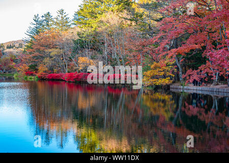 Kumobaike Teich Herbstlaub Landschaft, Cognac auf der Oberfläche im sonnigen Tag wider. Bunte Bäume mit Rot, Orange, Gelb, goldenen Farben Stockfoto