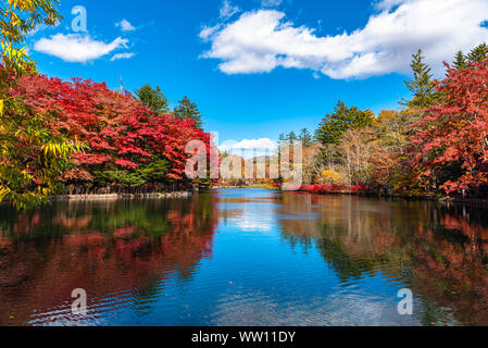 Kumobaike Teich Herbstlaub Landschaft, Cognac auf der Oberfläche im sonnigen Tag wider. Bunte Bäume mit Rot, Orange, Gelb, goldenen Farben Stockfoto