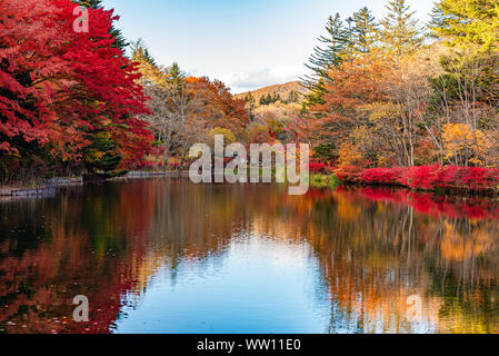 Kumobaike Teich Herbstlaub Landschaft, Cognac auf der Oberfläche im sonnigen Tag wider. Bunte Bäume mit Rot, Orange, Gelb, goldenen Farben Stockfoto