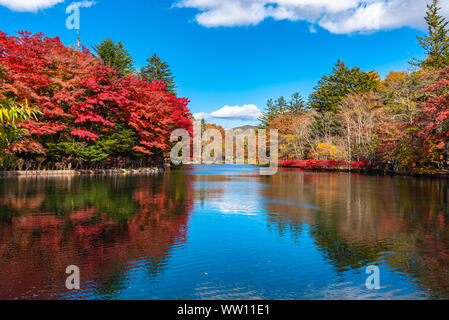 Kumobaike Teich Herbstlaub Landschaft, Cognac auf der Oberfläche im sonnigen Tag wider. Bunte Bäume mit Rot, Orange, Gelb, goldenen Farben Stockfoto