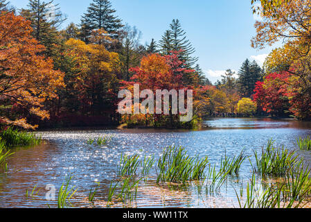 Kumobaike Teich Herbstlaub Landschaft, Cognac auf der Oberfläche im sonnigen Tag wider. Bunte Bäume mit Rot, Orange, Gelb, goldenen Farben Stockfoto