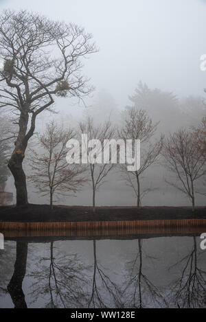 Kumobaike Teich Winterlandschaft Aussicht, verdorrten Baum auf der Oberfläche in der nebligen Tag in Karuizawa, Präfektur Nagano, Japan widerspiegelt Stockfoto