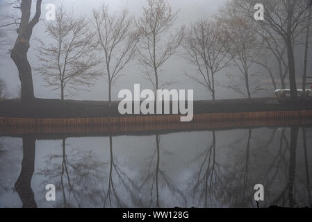 Kumobaike Teich Winterlandschaft Aussicht, verdorrten Baum auf der Oberfläche in der nebligen Tag in Karuizawa, Präfektur Nagano, Japan widerspiegelt Stockfoto