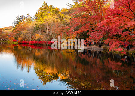 Kumobaike Teich Herbstlaub Landschaft, Cognac auf der Oberfläche im sonnigen Tag wider. Bunte Bäume mit Rot, Orange, Gelb, goldenen Farben Stockfoto