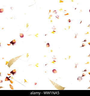 Nahtlose herbst Muster. Eine Wiederholung drucken mit verstreuten trockene Blätter und Blüten auf weißem Hintergrund Stockfoto