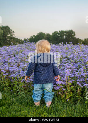 Eine kleine blonde Mädchen steht von einem Blumengarten mit lila Blüten in einem Stadtpark. Die warmen Töne der untergehenden Abendsonne. Stockfoto