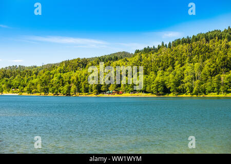 Blick auf den schönen See Bajer in Gorski Kotar, Kroatien, schönen grünen Mountain Resort Stockfoto