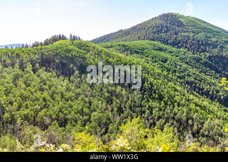 Morgen Sonnenaufgang hohen Betrachtungswinkel von Sunnyside Trail in Aspen, Colorado am Roten Berg Stockfoto