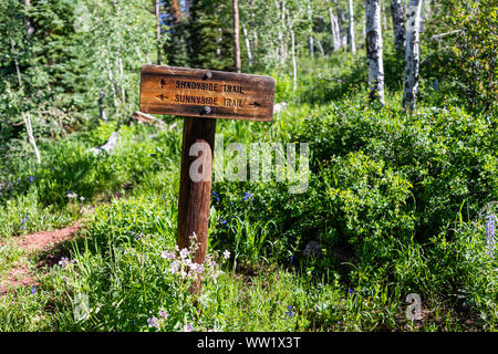 Morgen mit Vorzeichen Richtungen für Shadyside und Sunnyside Trail in Aspen, Colorado in Woody Creek Nachbarschaft Anfang 2019 Sommer mit Wildblumen Stockfoto