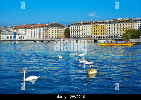 Transport am Genfer See. Gelbe und rote Mouettes Genevoises Navigation Boot, eine öffentliche Verkehrsmittel Boot unterwegs über den See in Genf, Schweiz Stockfoto