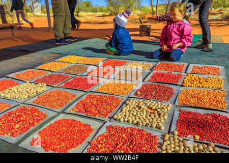 Der Kings Creek Station, Northern Territory, Australien - 21.August 2019: Kinder beobachten, mit verschiedenen bunten Bush Samen an Karrke Aborigines gesammelt Stockfoto