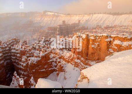 Hoodoos mit Winter Schnee und Eis Nebel im Morgengrauen, vom Sunset Point, Bryce Canyon National Park, Utah, USA Stockfoto