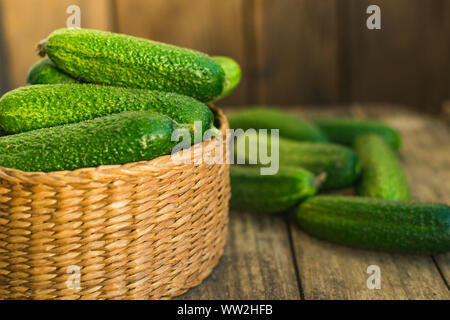 Frische Gurken in Feld und auf alten Holztisch. Selektiver Fokus Stockfoto