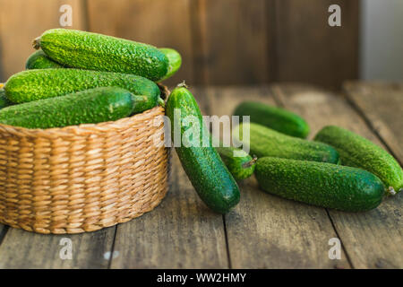 Frische Gurken in Feld und auf alten Holztisch. Selektiver Fokus Stockfoto