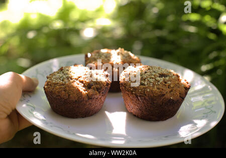 Eine Hand mit gesunden, natürlichen und schmackhaften veganen und glutenfreien Möhren und Rosinen Muffins mit Hanf samen auf eine weisse Platte gekrönt, im Wald Stockfoto