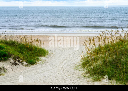 Strand und Meer Hafer am Strand in Amelia Island, Florida Stockfoto