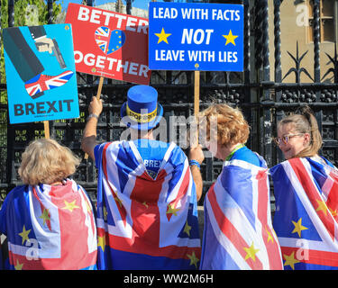 Westminster, London, Großbritannien. 12 Sep, 2019. Anti-Brexit Demonstranten von sodem (Stand der Missachtung der Europäischen Bewegung), darunter Steve Bray, Rallye mit Plakaten und Fahnen außerhalb der Gates in das Parlament heute. Credit: Imageplotter/Alamy leben Nachrichten Stockfoto