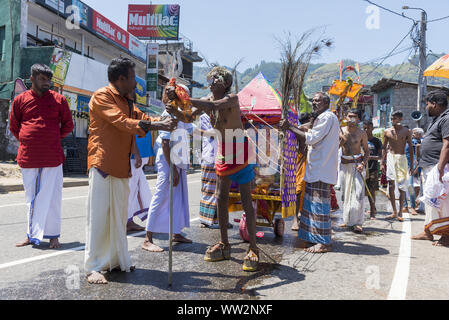 Pusellawa, Sri Lanka, 12. März 2019: Hindu Festival der Thaipusam - Body Piercing Rituale unter dem Blut Mond. Devotee durch die Stadt paradieren, Walki Stockfoto