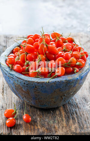 Frische Goji Beeren in eine Schüssel: Detailansicht Stockfoto