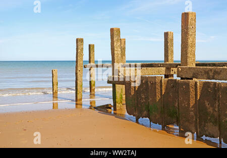 Die sich verschlechternde Ende einen Wellenbrecher bei Ebbe an der Ost Küste von Norfolk an Warenkorb Lücke, Happisburgh, Norfolk, England, Grossbritannien, Europa offenbart. Stockfoto