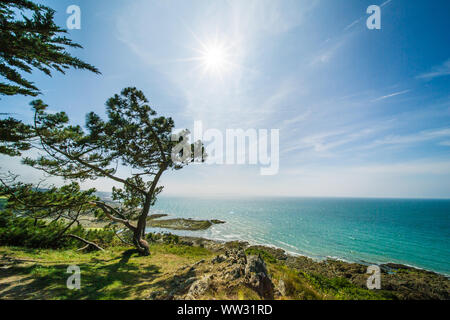 Atlantik Küste mit türkisblauem Wasser und Pinien an einem sonnigen Sommertag in der Bretagne Frankreich Stockfoto