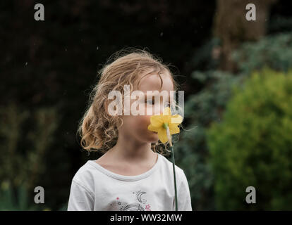 Junge Mädchen im Regen stehen Riechen eine Narzisse im Garten Stockfoto