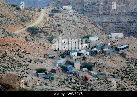 Eine Herde Ziegen, die zu Fuß auf einem Feldweg in einem kleinen Bergdorf, Oman Stockfoto