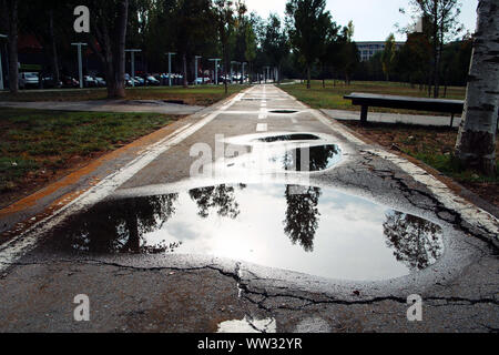 Pfütze von Wasser auf Asphalt und alte Straße und spiegelt einige Bäume. Stockfoto