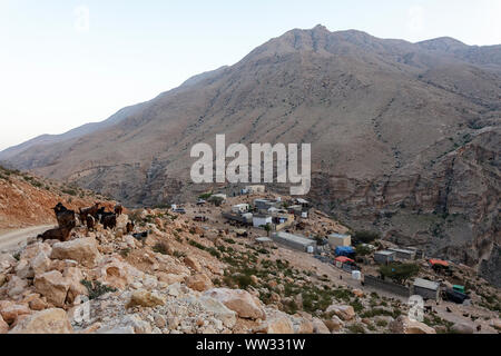 Eine Herde Ziegen, die zu Fuß auf einem Feldweg in einem kleinen Bergdorf, Oman Stockfoto