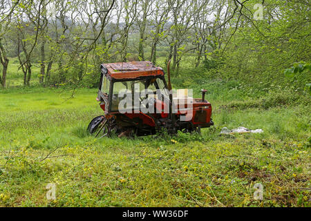 Eine alte verlassene Farm Traktor in einem Feld an der St Mary's Island, Isles of Scilly, England, Großbritannien Stockfoto
