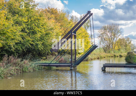 Bäume im Herbst mit einem alten Zugbrücke über einen Kanal in der nähe von Leiden, Holland Stockfoto