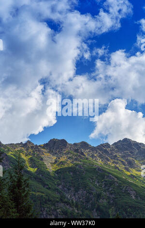 Blick auf die Alpen an einem sonnigen Sommertag. Ein schönes Bild von den Himmel, die Berge und den Wald. Stockfoto