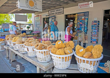 Tarpon Springs, Florida Seehafen, USA, traditionelle griechische Schwamm Industrie Stockfoto