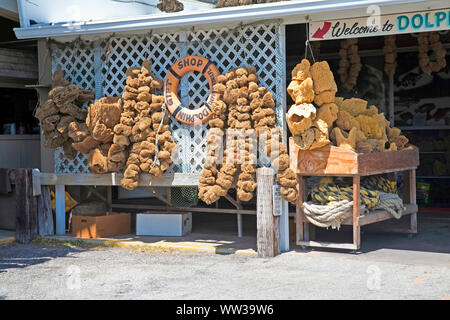 Tarpon Springs, Florida Seehafen, USA, traditionelle griechische Schwamm Industrie Stockfoto