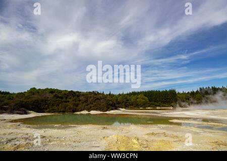 Champagner Pool in Wai-o-Tapu eine aktive geothermale Region, Neuseeland Stockfoto