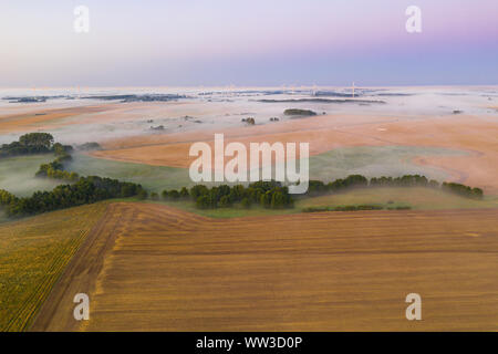 Nebel auf Felder, Windkraftanlagen im Hintergrund. aus der Vogelperspektive Stockfoto