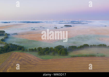 Nebel auf Felder, Windkraftanlagen im Hintergrund. aus der Vogelperspektive Stockfoto