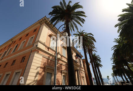 Das Rathaus der Stadt Ajaccio umrahmt von palmwedel, Insel Korsika, Frankreich. Stockfoto
