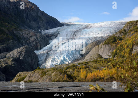 Blick auf Exit Glacier, Harding Eisfeld, Kenai Fjords National Park Seward, Alaska, United States Stockfoto