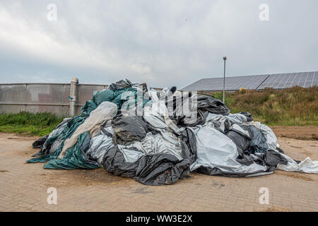 Plastik- und Papiermüll liegt in der Waldlichtung, Nahaufnahme
