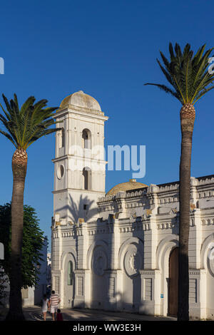 Andalusien, Spanien. Juni 2015. Kredit: ABEL F. ROS / Alamy Stockfoto