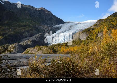 Blick auf Exit Glacier, Harding Eisfeld, Kenai Fjords National Park Seward, Alaska, United States Stockfoto