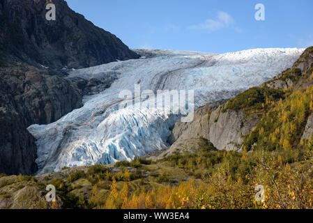 Blick auf Exit Glacier, Harding Eisfeld, Kenai Fjords National Park Seward, Alaska, United States Stockfoto