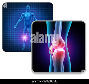 Menschlichen Knie Körper Gelenkschmerzen Konzept wie ein Skelett und Muskel Anatomie des Körpers als schmerzhafte Beinverletzung oder Arthritis Krankheit Symbol. Stockfoto